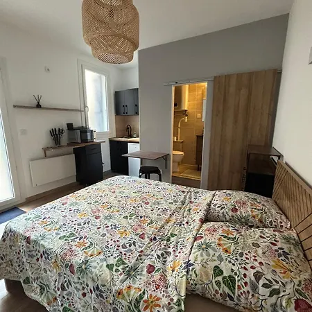 Quai Claude Bernard Appartement *